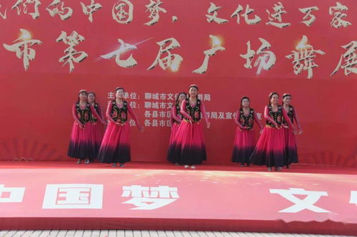 舞動(dòng)水城，綻放芳華——聊城市第七屆廣場(chǎng)舞展演活動(dòng)圓滿落幕